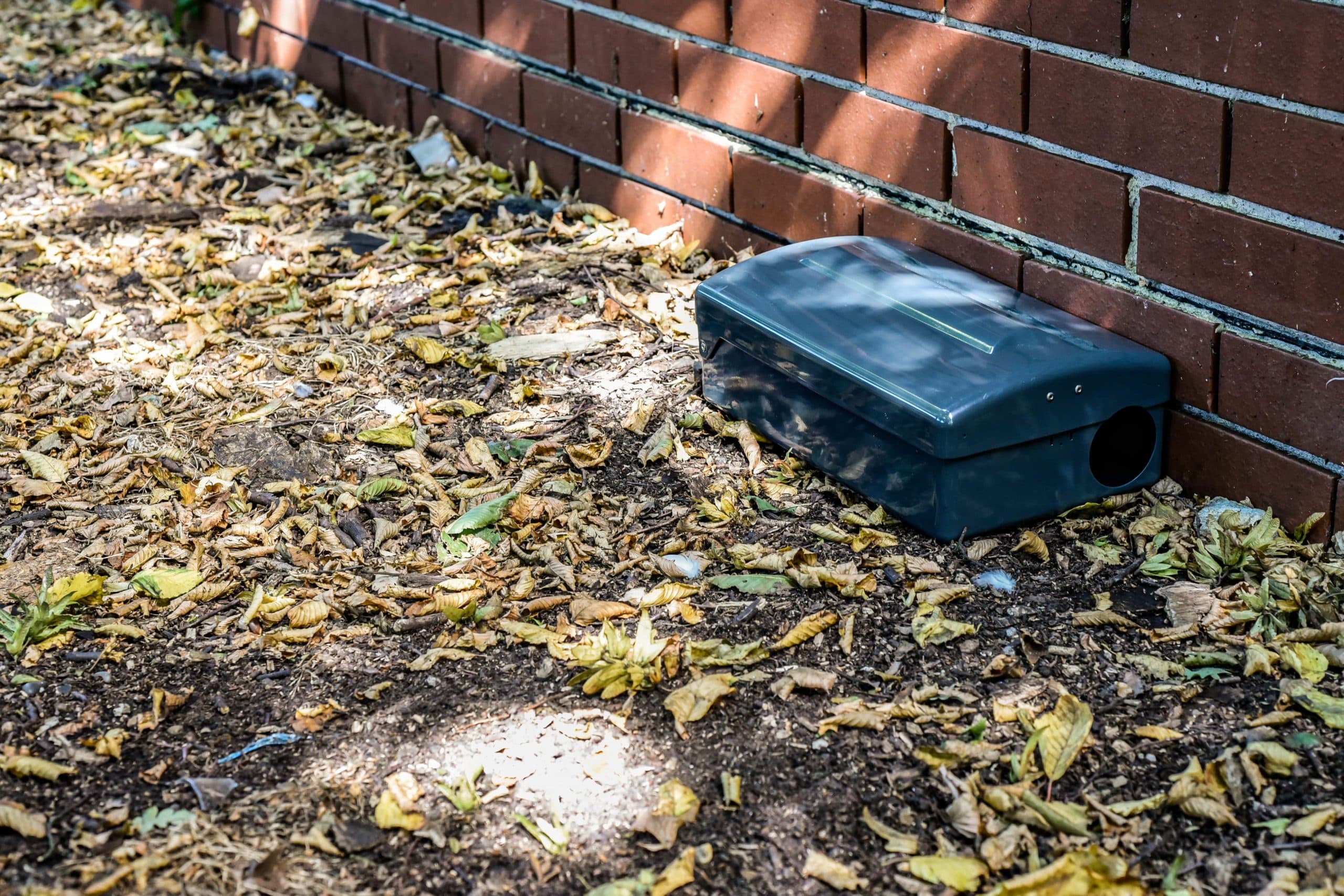 rodent control services Sandy Springs