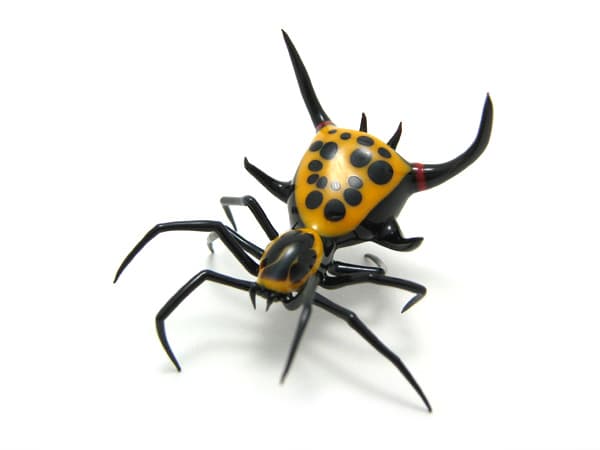 Spiny Spider